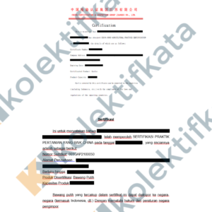 Jasa Penerjemah Tersumpah Mandarin